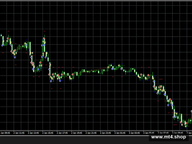 EA XM FOREX KILLER MQL 源码