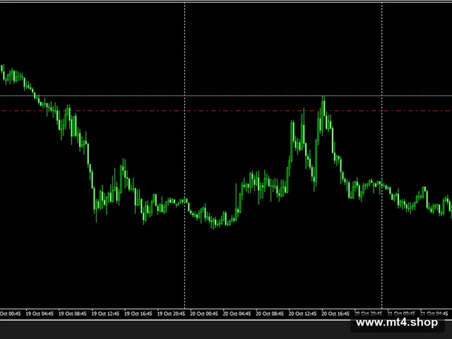 Robot Forex 2014 Profesional