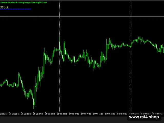 EA-3-MA-Bengkel-Forex-Rule-Mr.Ahmad-Sidik