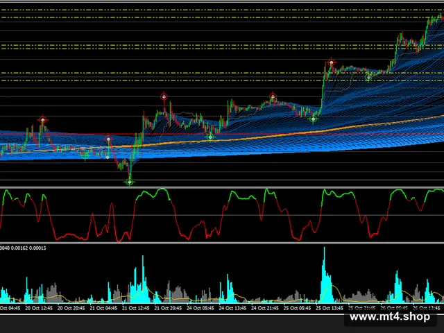 ORION EA Scalper 源码