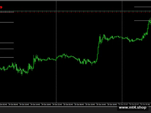 WS.PRO v1.0 EA