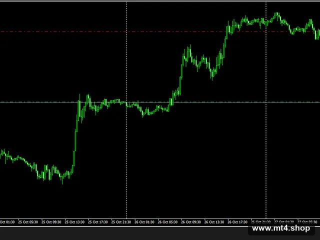 QUANTUM TICKS EA v5.5