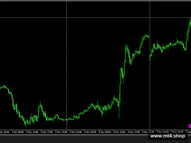 FNFOREX ROBOT