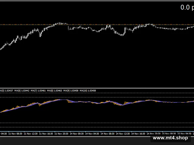 100 pips a day