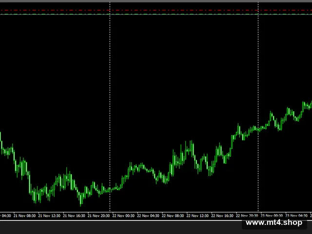 ForexKingle 源码