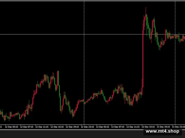 Hedging_EA_v3.8.8.3-locked