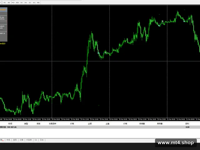 WallStreetForexRobotv4.6_nodll 源码