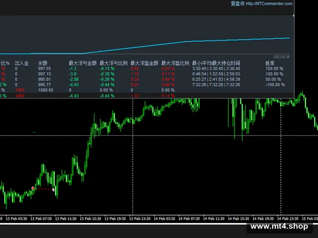 SteadyWinner V6.0 源码