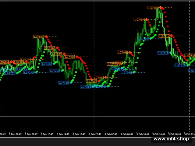 Brooky_PSAR_Levels_MTF_TT 源码