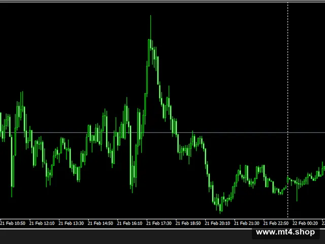 ea_rsi_stocho_ma 源码