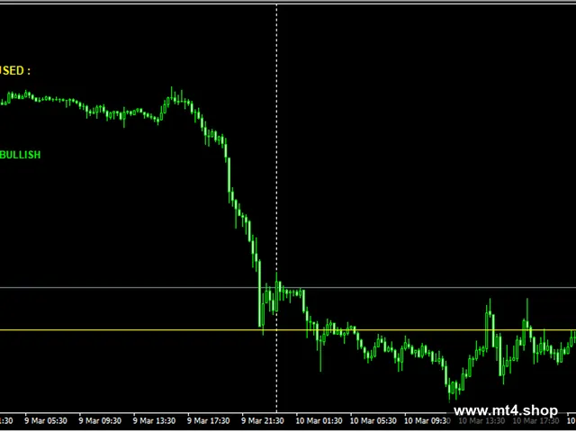 EA NFP WARRIOR