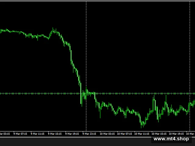 EA SCALP RENKO v2.3