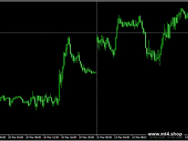 Euro Scalper 源码
