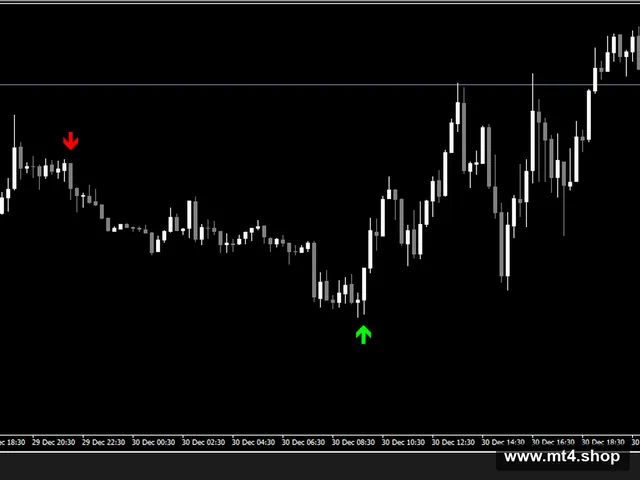 BEAST SUPER SIGNAL EXPERT ADVISOR 源码