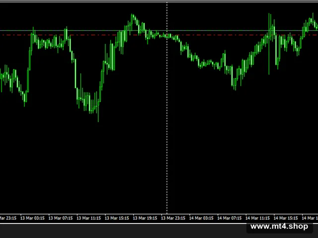Forex Kingle