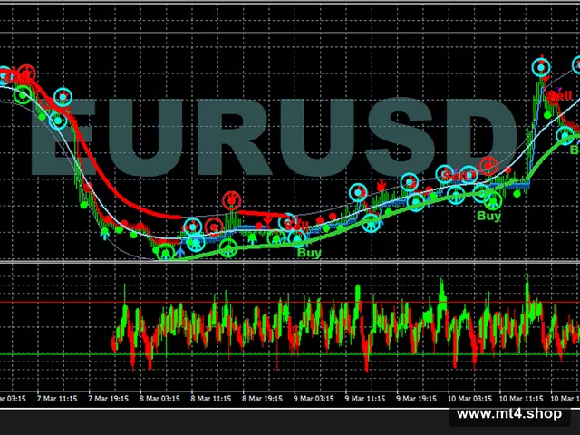 FOREX PROFIT RISE