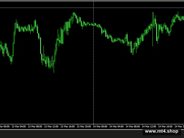 ForexAutomatorPro 源码