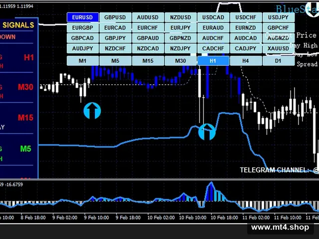 BlueStarK Trading System 源码