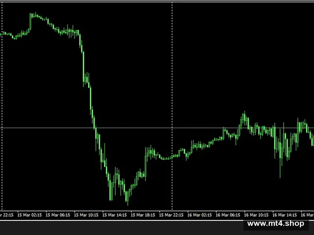 FOREXSTAY-LIGHT-V7.3