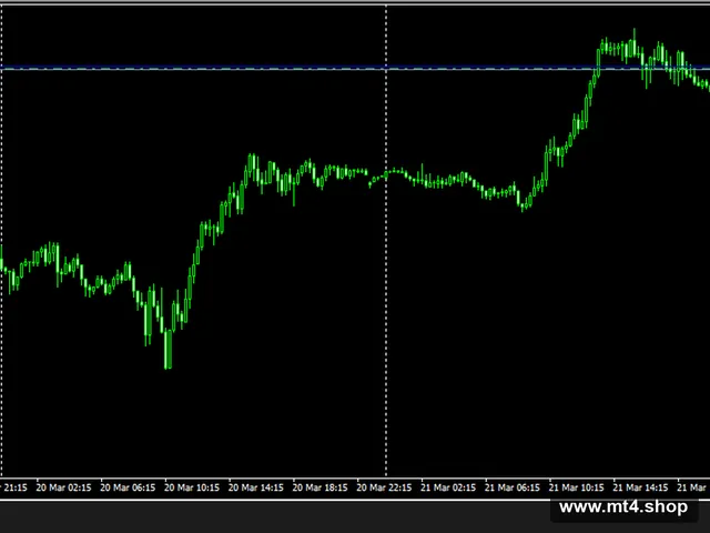 Martingail_Expert_Stochastic_fix