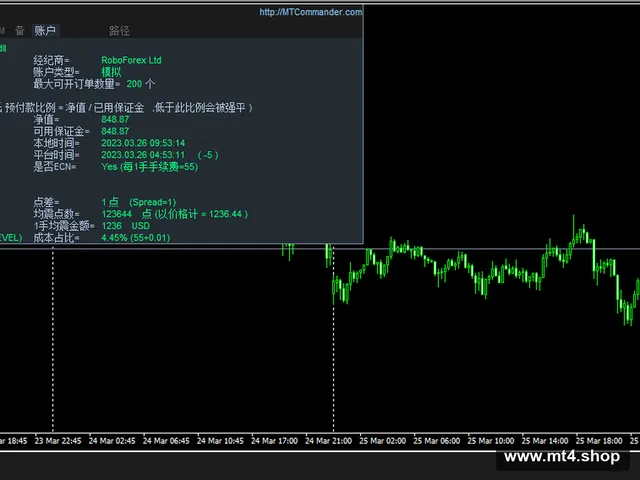 MTDriver盈亏统计指标