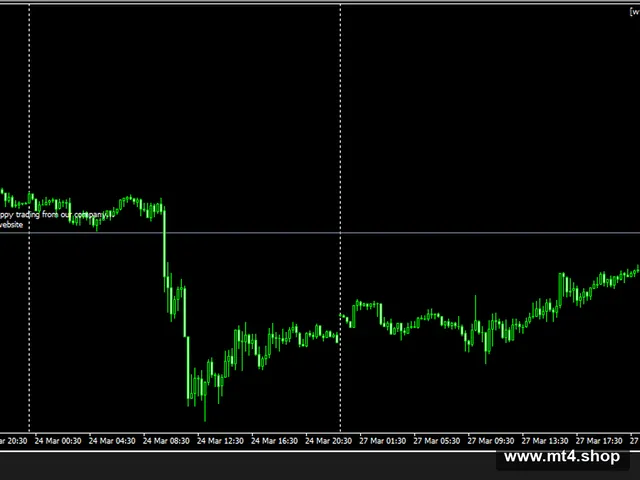 NEUROS NINJAS SHARP SHOOTER EA EURGBP V2 UPGRADE~(神经EA) 源码