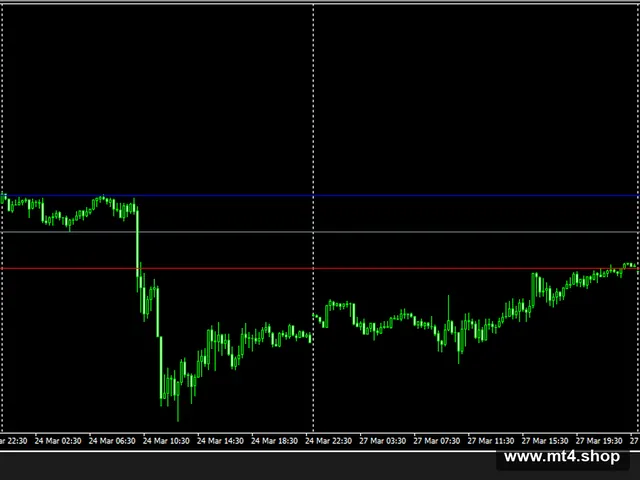 NewScalper 源码