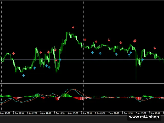 Tipu MACD 源码