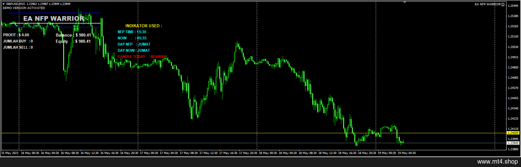 EA NFP WARRIOR