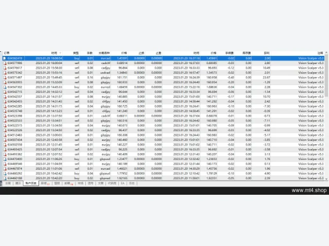 Vision Scalper 5.3_fix 图片 4