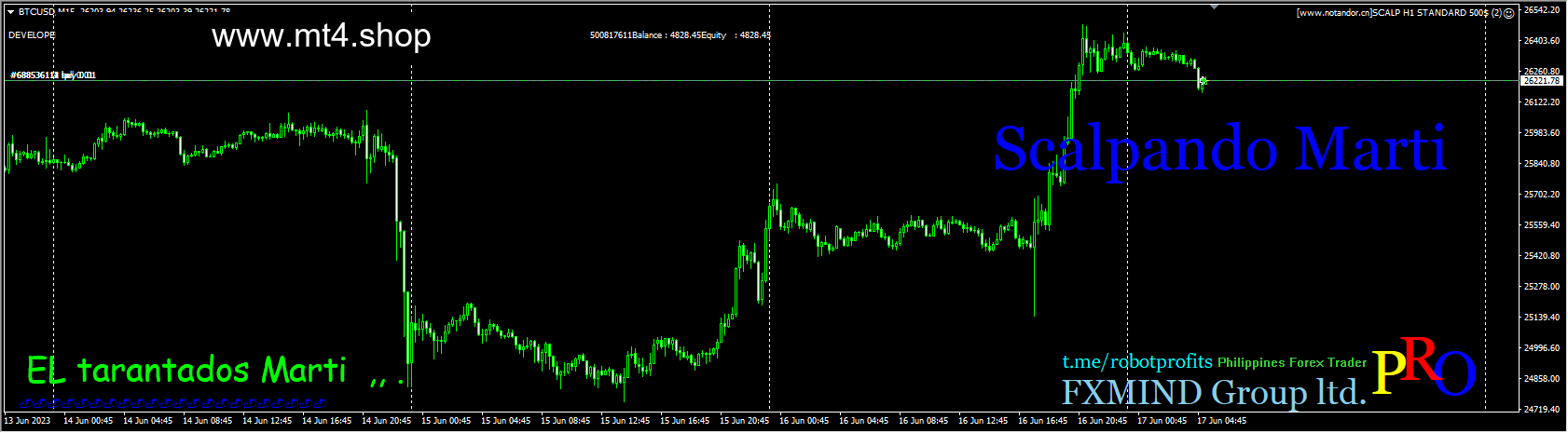 SCALP H1 STANDARD 500$ 源码