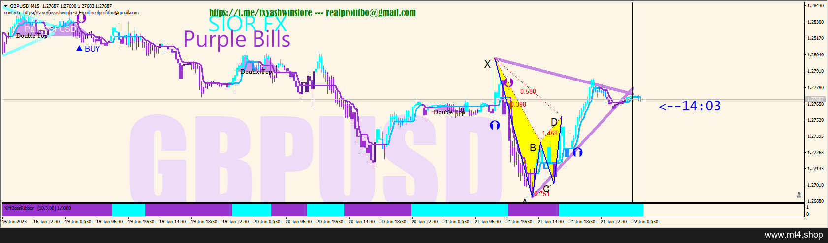 SIOR FX Purple Bills System