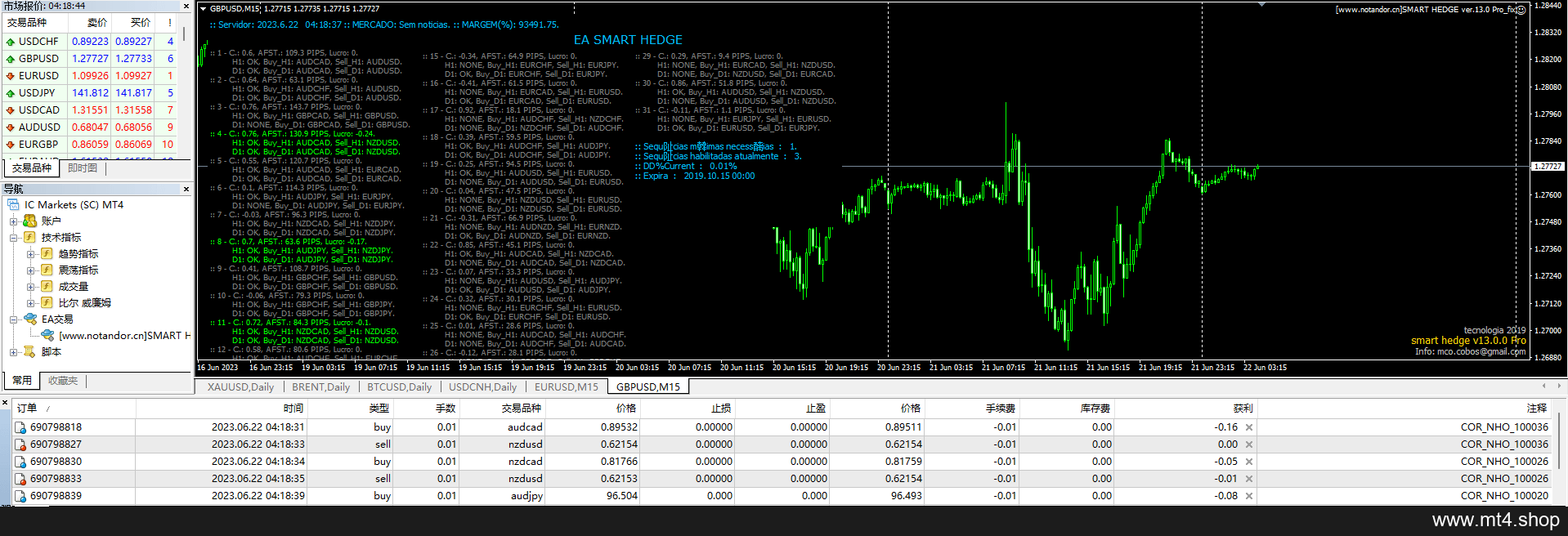 SMART HEDGE ver.13.0 Pro_fix
