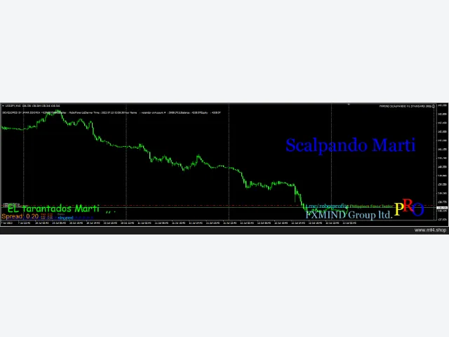 FXMIND SCALPANDO H1 STANDARD 300$ 源码 图片 3