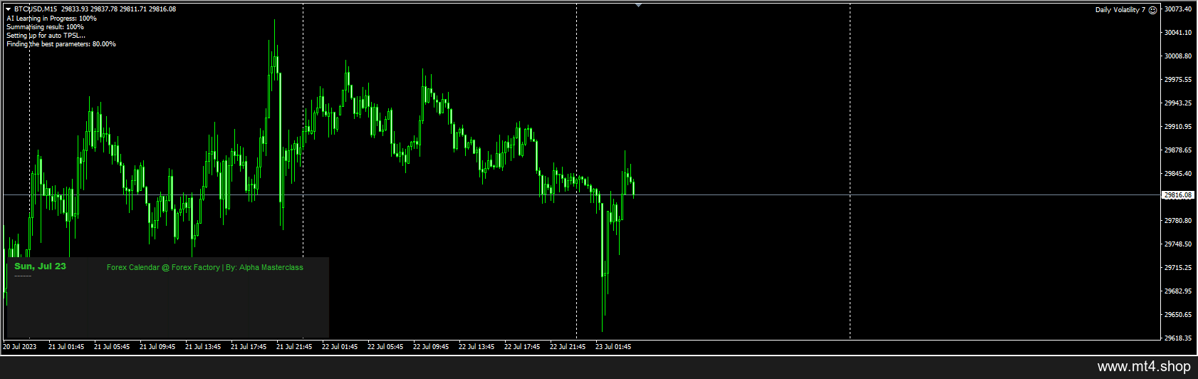 Daily Volatility 7
