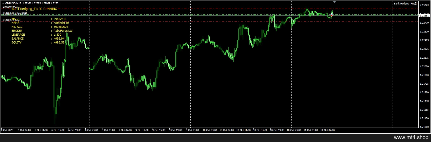 Bank Hedging_Fix