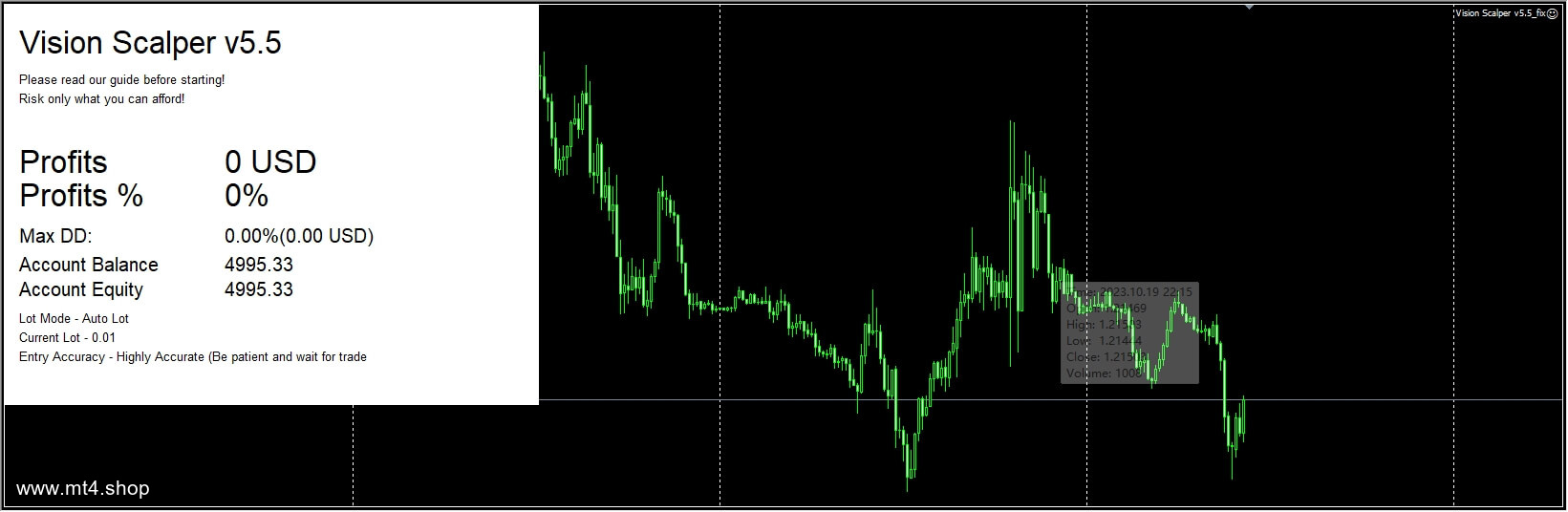 Vision Scalper v5.5_fix