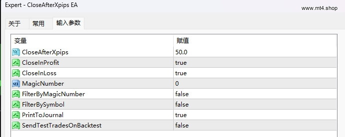 CloseAfterXpips EA 源码