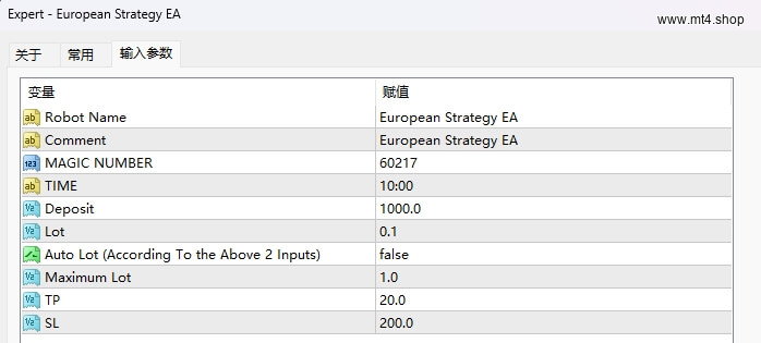 European Strategy EA