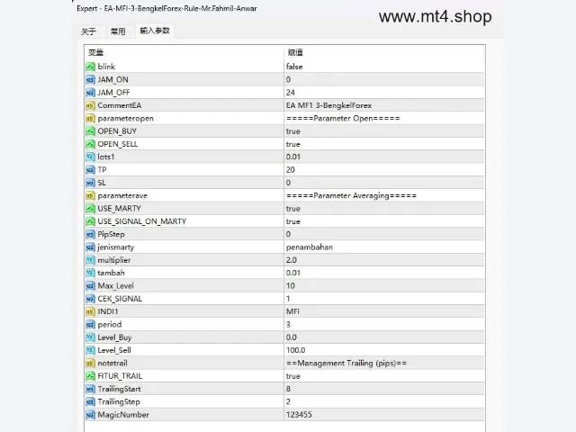 EA-MFI-3-BengkelForex-Rule-Mr.Fahmil-Anwar 图片 3