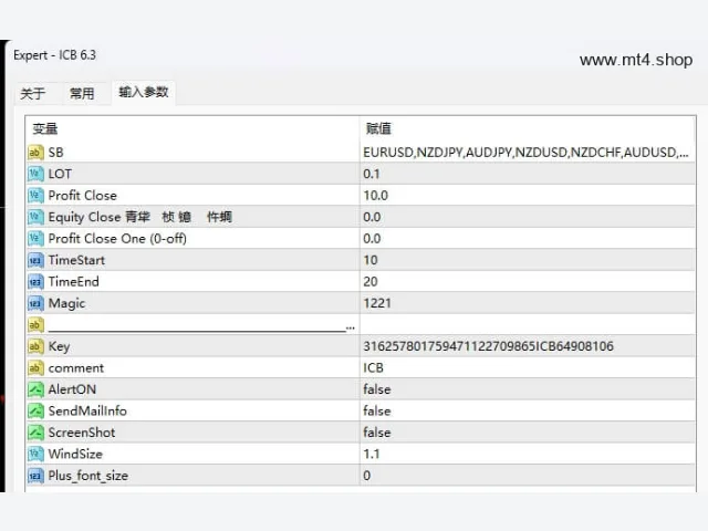 ICB 6.3 EA 图片 2