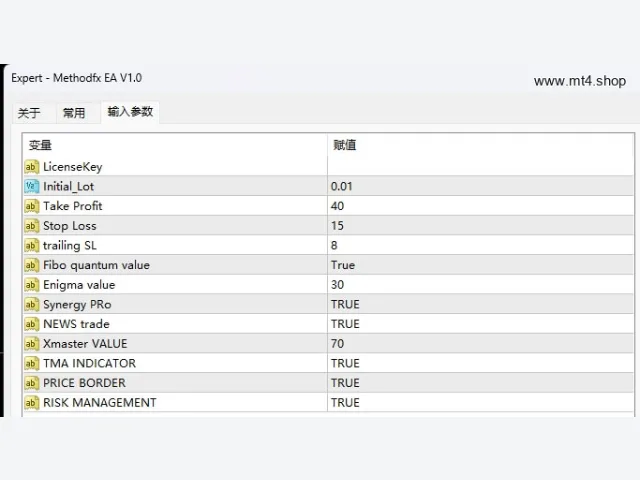 Methodfx EA V1.0 图片 3