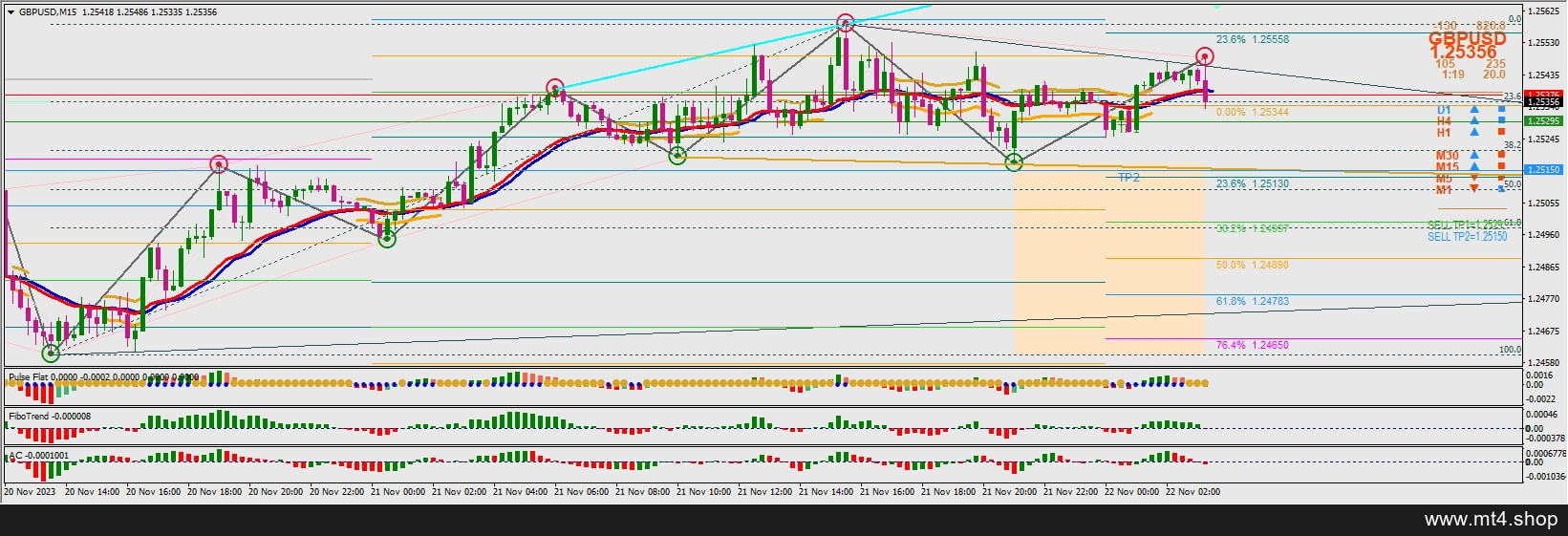 Binary Options Fibonacci Trend Strategy System 源码