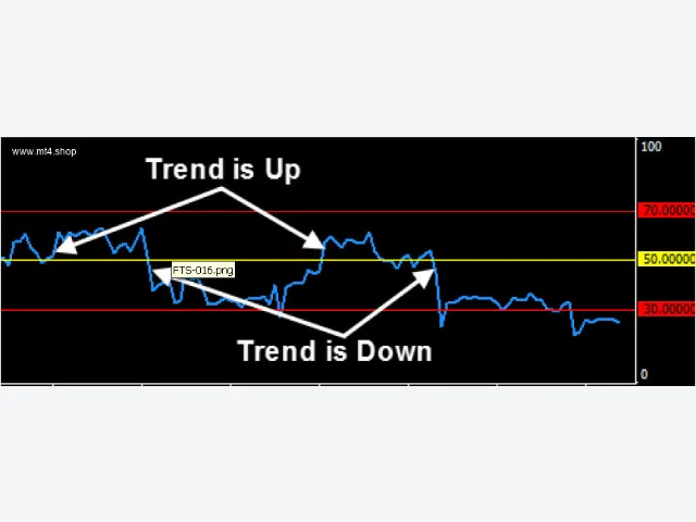 Forex Trend Secrets System 图片 2