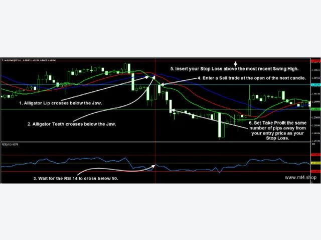 Forex Trend Secrets System 图片 3