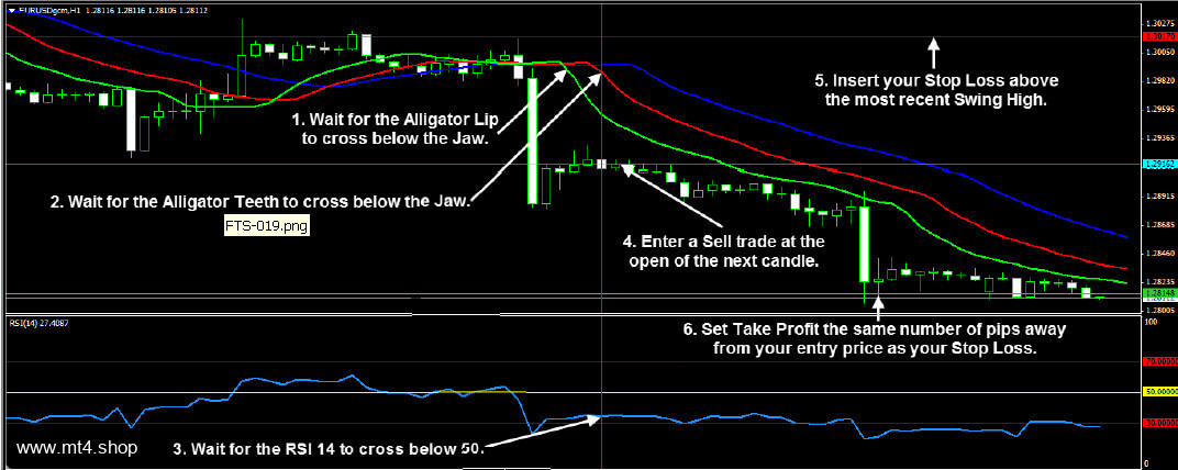 Forex Trend Secrets System