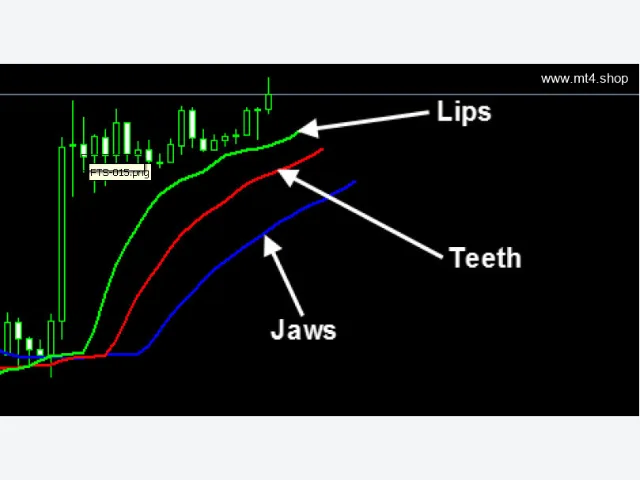 Forex Trend Secrets System 图片 4