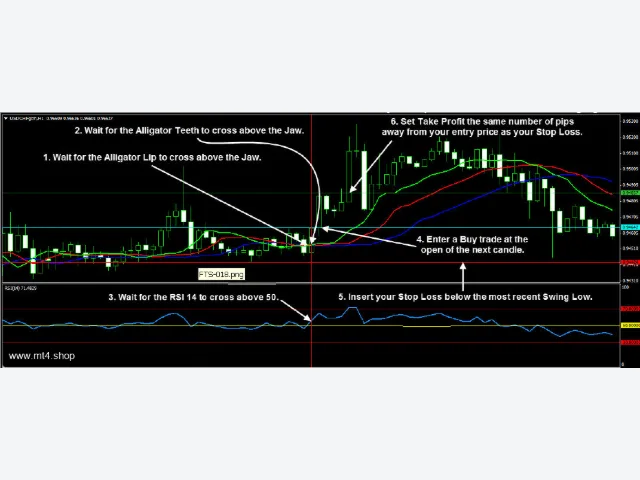 Forex Trend Secrets System 图片 5
