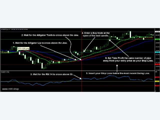 Forex Trend Secrets System 图片 6