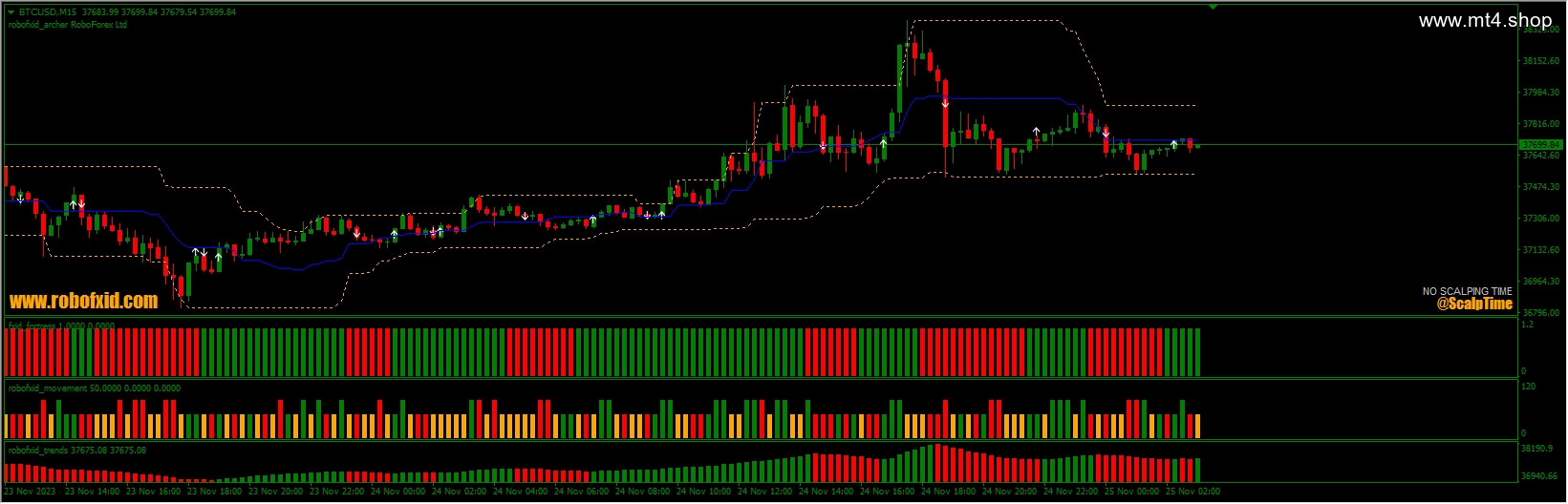 robofx scalping system 源码